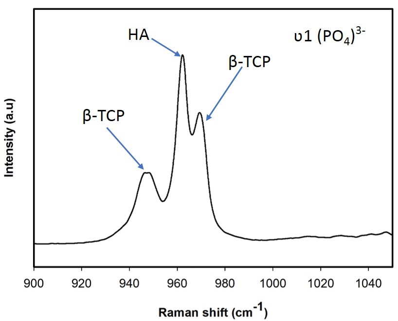 Raman spectrum of BCP nanoparticles.