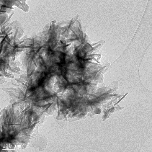 Bright-field TEM micrograph of BCP nanoparticles.