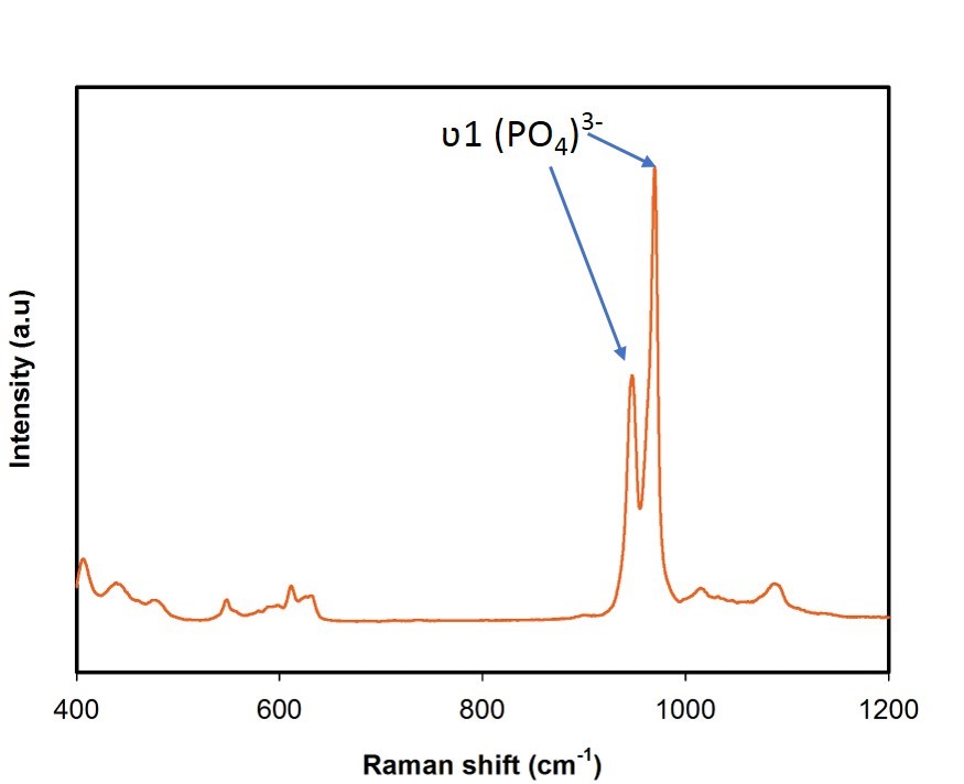 Raman spectrum of β-TCP nanoparticles.