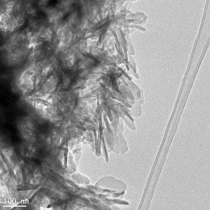 Bright-field TEM micrograph of β-TCP nanoparticles.