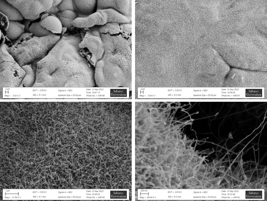 SEM images of BNNT with different magnifications 