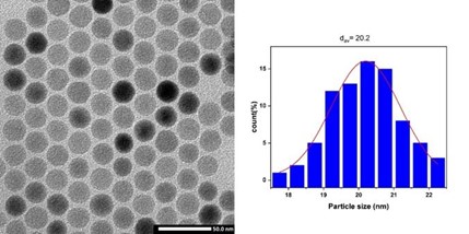 Particle size distribution and TEM images of NaYF4:Yb,Er nanoparticles